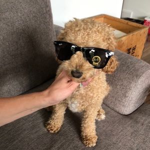 Meet your Posher, Susan